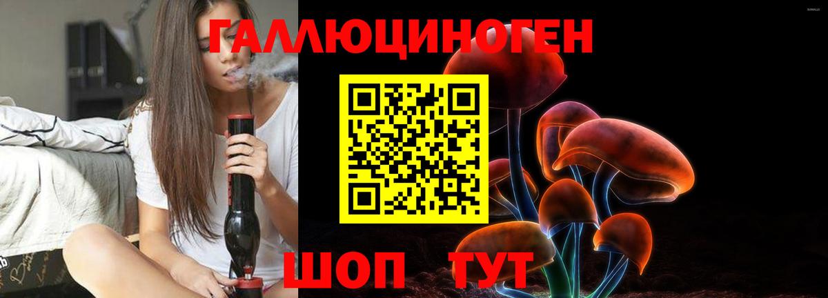 Скопин  Галлюциногенные грибы прущие грибы  Вход с VPN 